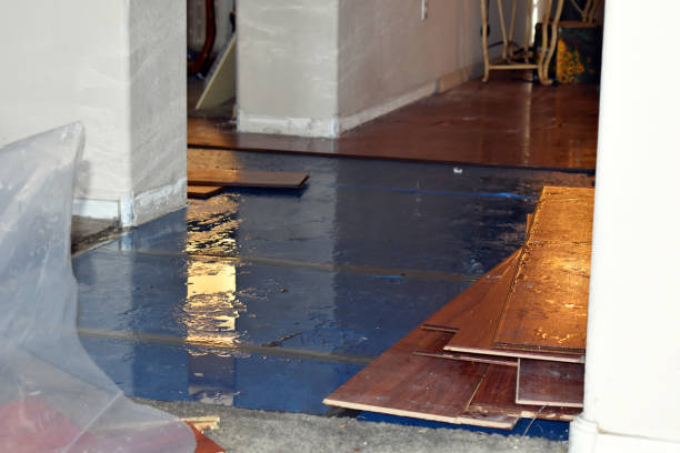 Professional Water Extraction technician working in Longbranch, WA
